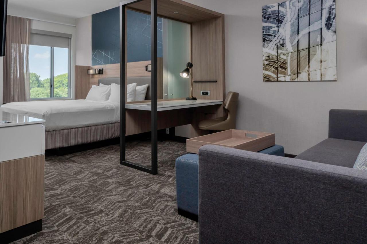 Springhill Suites By Marriott Charlotte ハンターズビル エクステリア 写真
